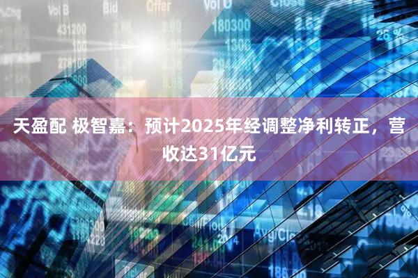天盈配 极智嘉：预计2025年经调整净利转正，营收达31亿元