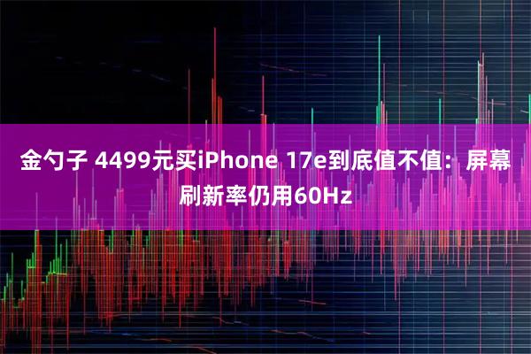 金勺子 4499元买iPhone 17e到底值不值：屏幕刷新率仍用60Hz
