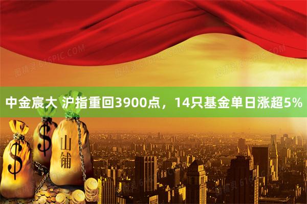 中金宸大 沪指重回3900点，14只基金单日涨超5%