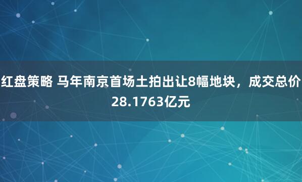 红盘策略 马年南京首场土拍出让8幅地块，成交总价28.1763亿元