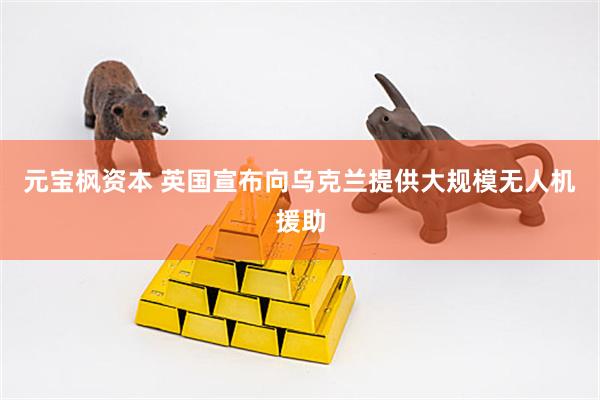 元宝枫资本 英国宣布向乌克兰提供大规模无人机援助